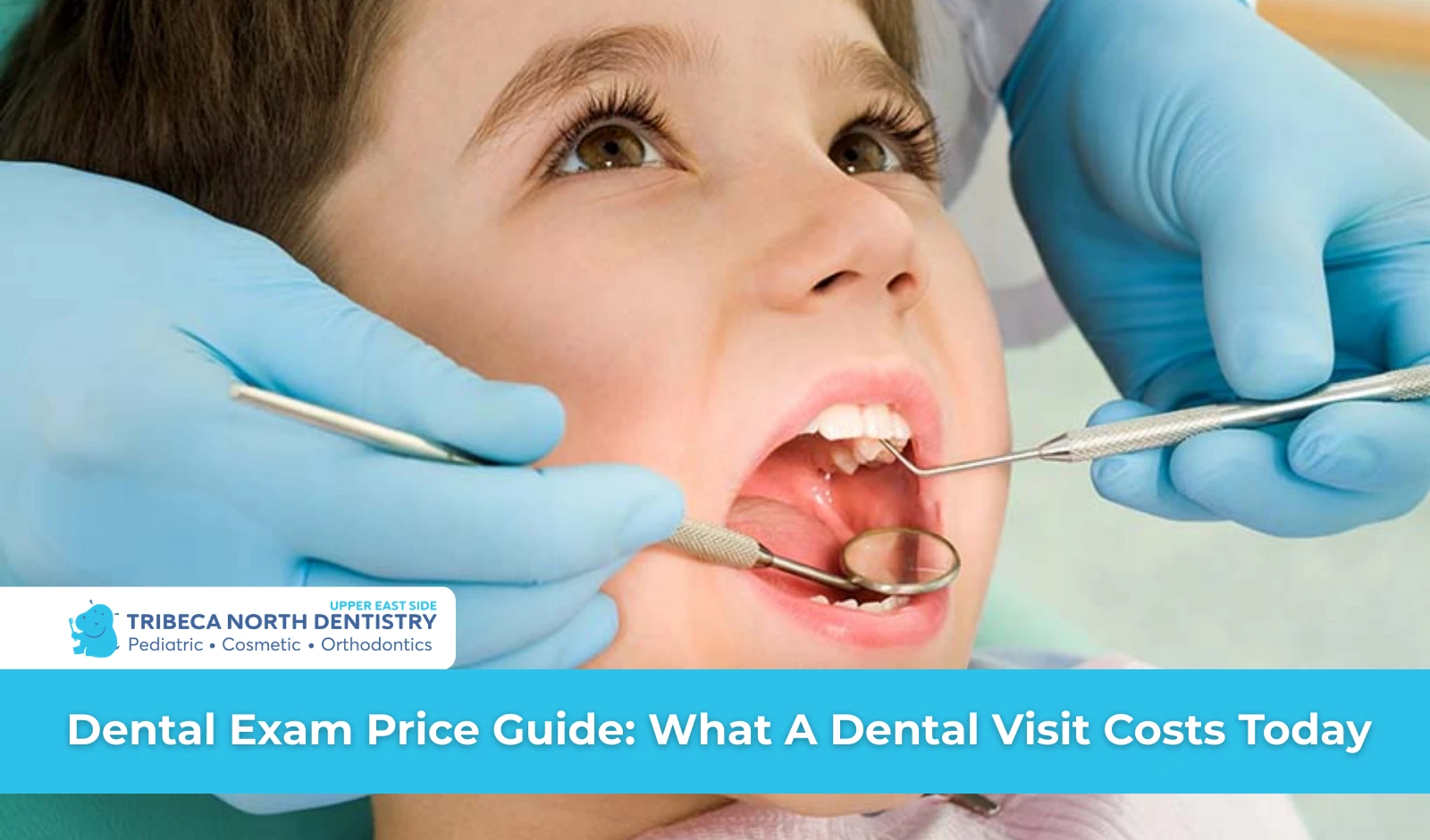 Dental Exam Price Guide What A Dental Visit Costs Today