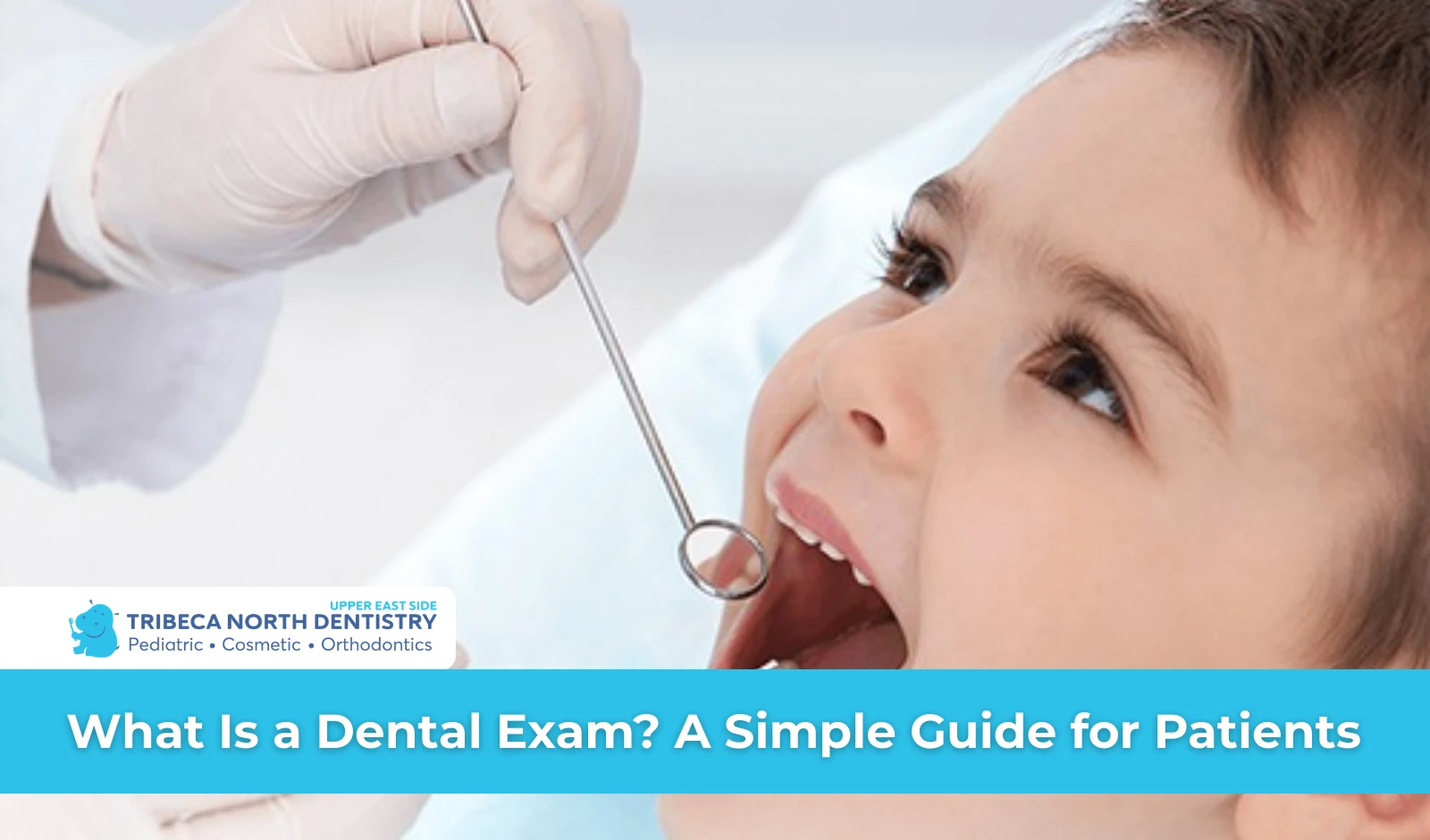 What Is a Dental Exam A Simple Guide for Patients